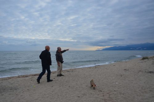 two men at the sea shore and a dog